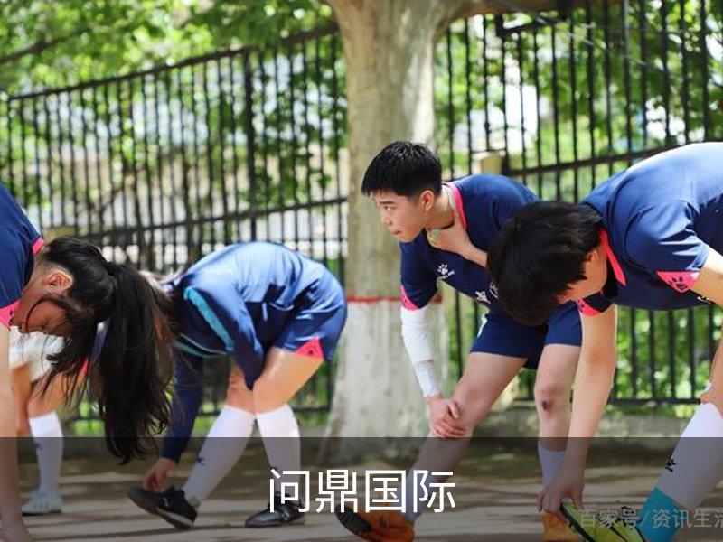 了解问鼎国际